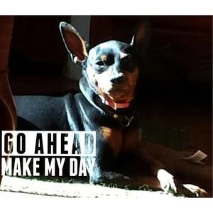 Meet your Posher, Vanessa